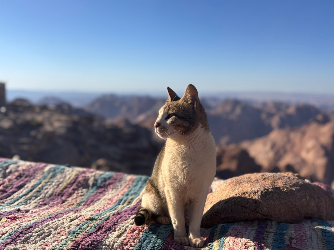 Sinai Hikes-圣卡特琳娜地区必去景点