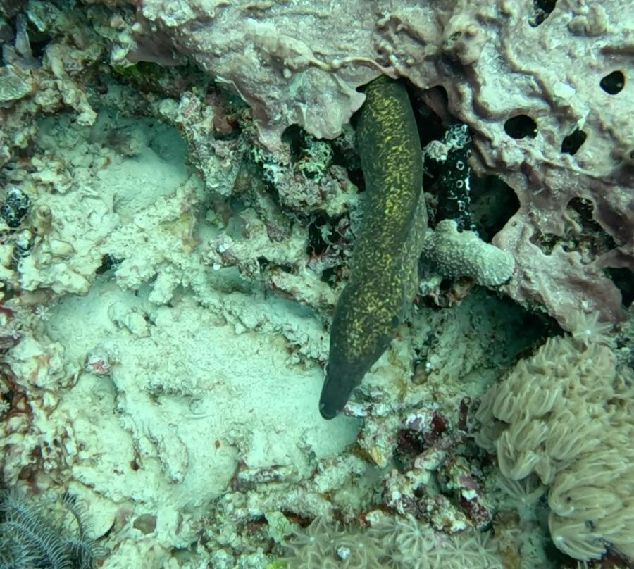 Meno Dive Club-Gili Meno必去景点