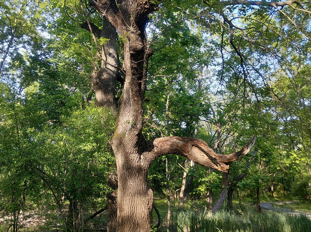 Bernice Area at Grand Lake State Park-Bernice必去景点