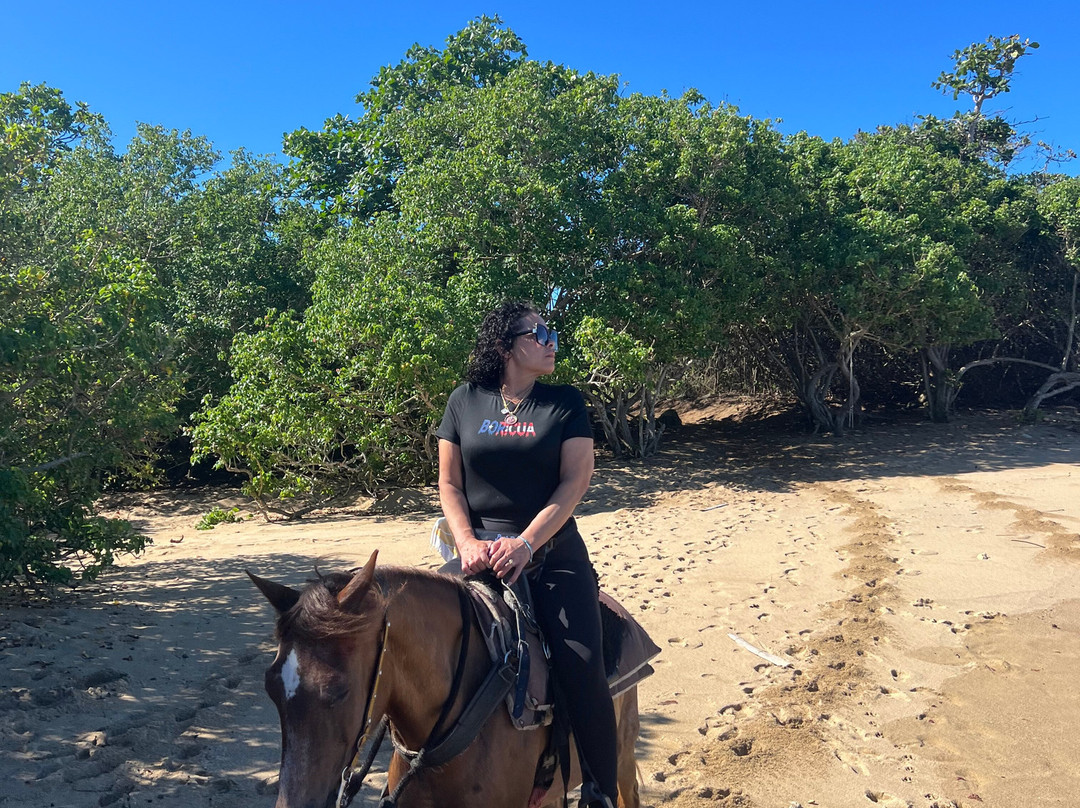 Playuelas Horse Rides-Aguadilla必去景点