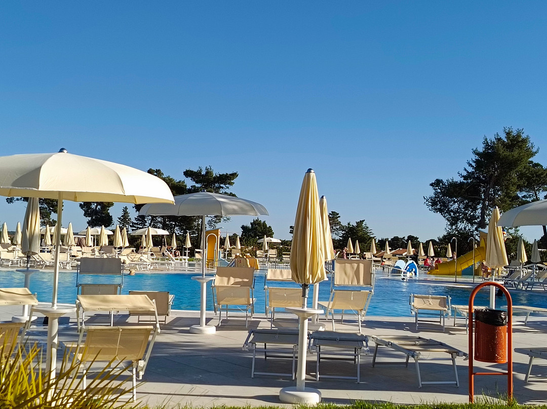 Zaton Holiday Resort 4 Star Apartments主图