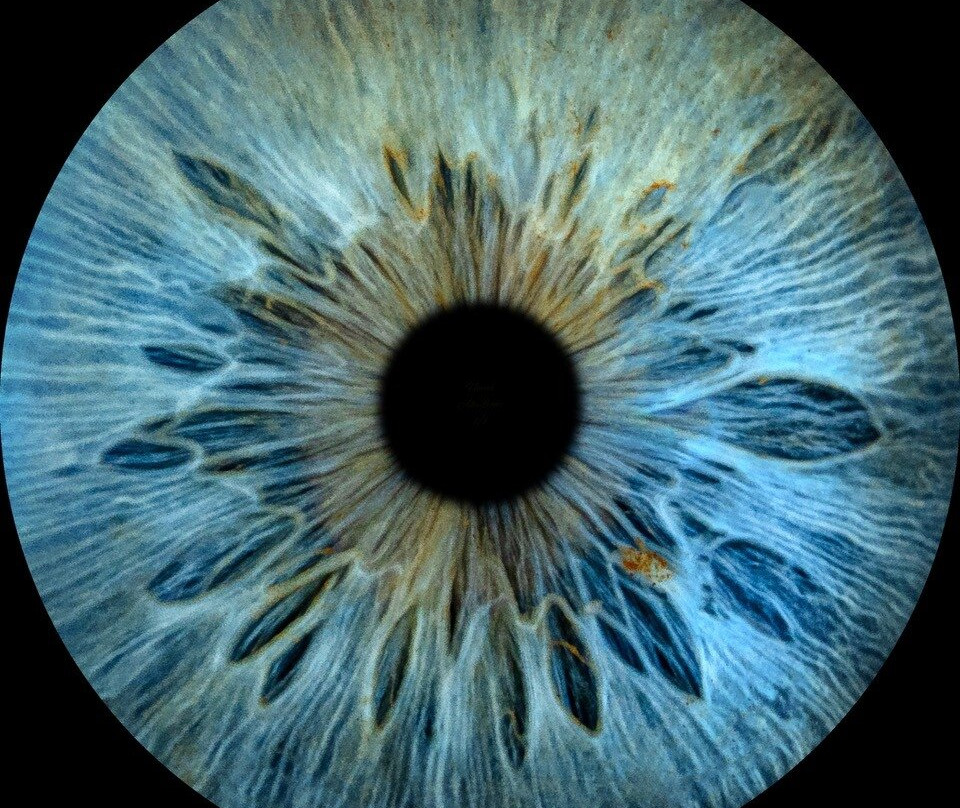 Iris Galerie Gent-根特必去景点
