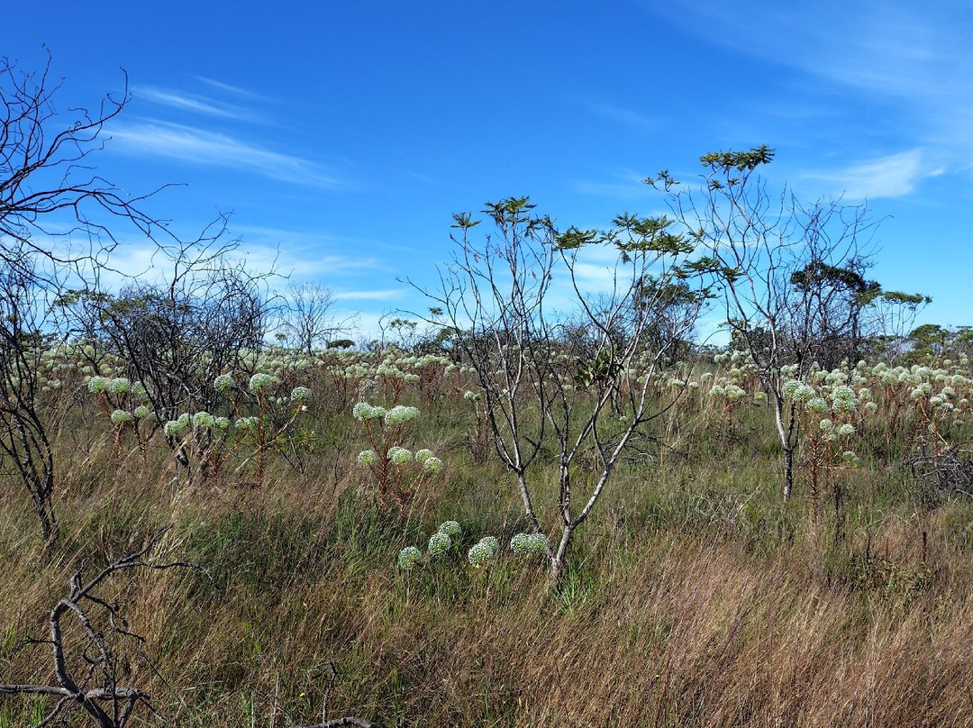 Parque Estadual da Serra dos Pireneus-Pirenopolis必去景点