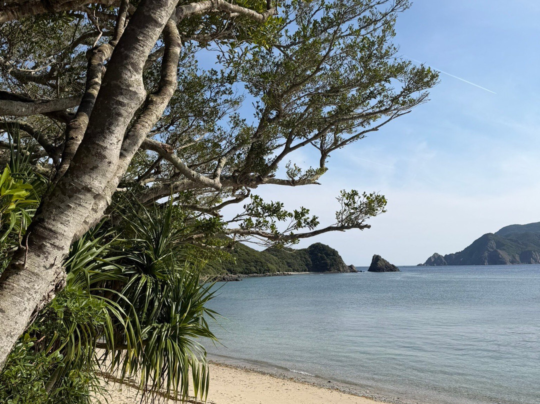 Amamigunto National Park-奄美市必去景点
