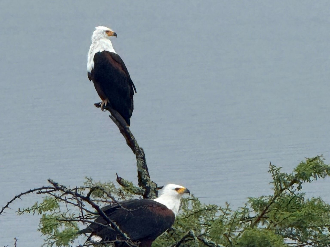 Akagera National Park-Eastern Province必去景点