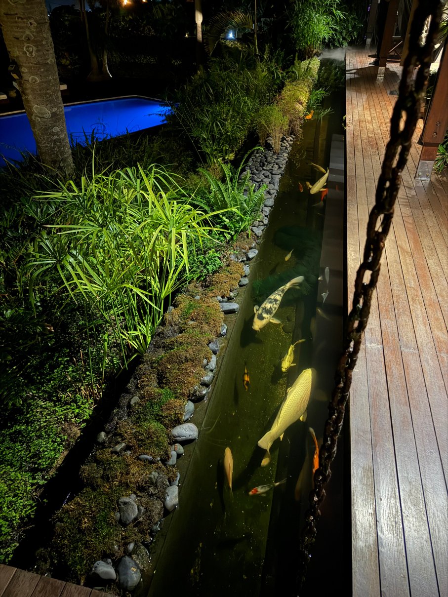 Jakita's Guest House-旅行者