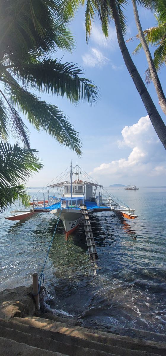 威尔海滩潜水度假酒店-旅行者