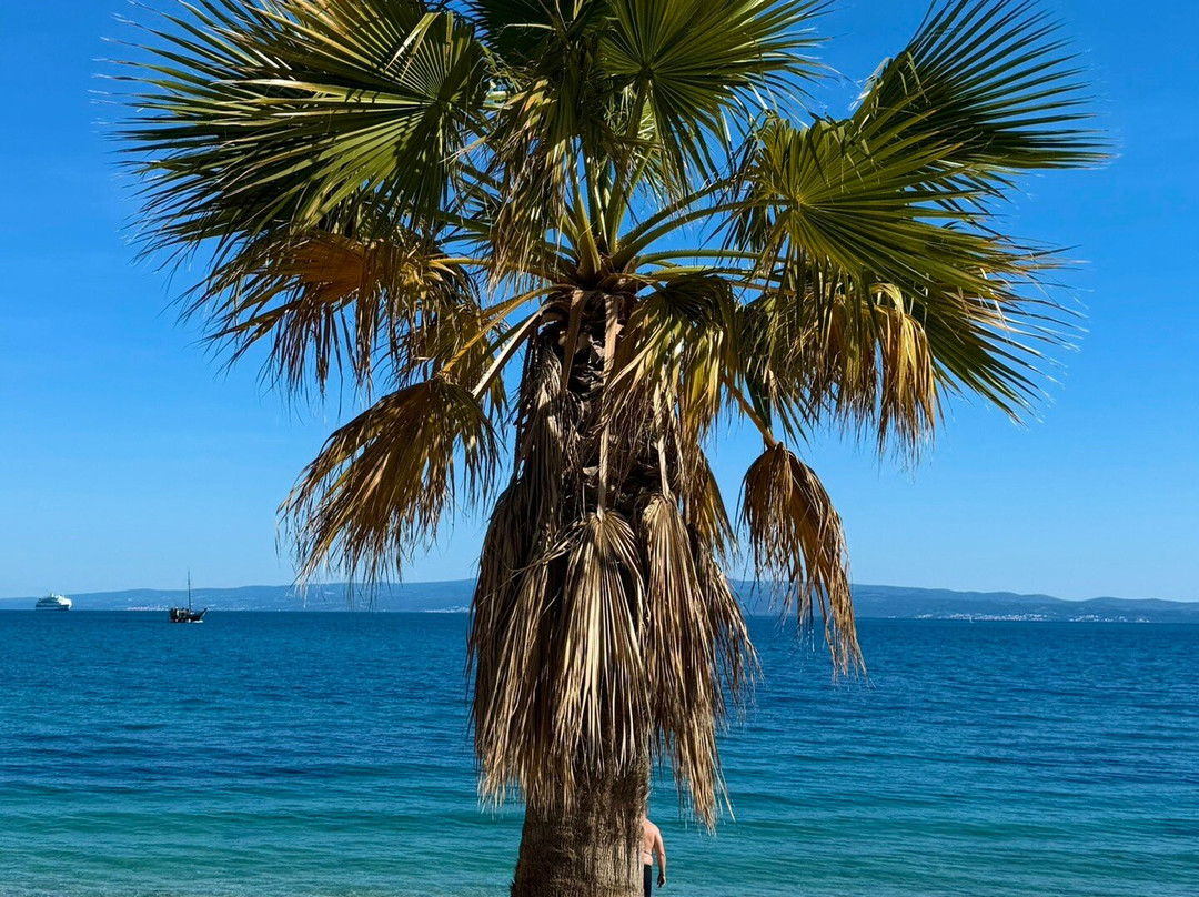 Kasjuni Beach-斯普利特必去景点