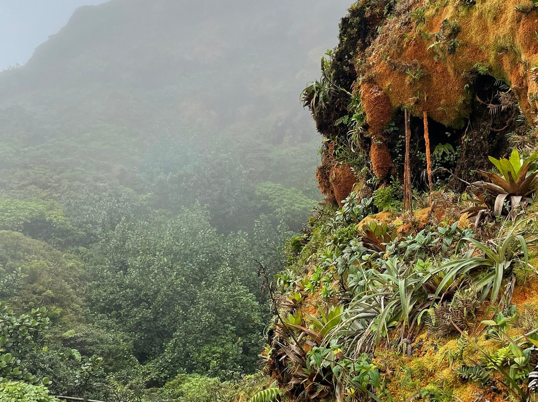 La Soufrière-Saint-Claude必去景点