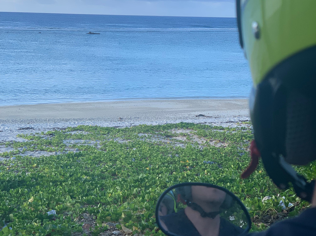Island Car & Bike Hire-阿罗朗吉必去景点
