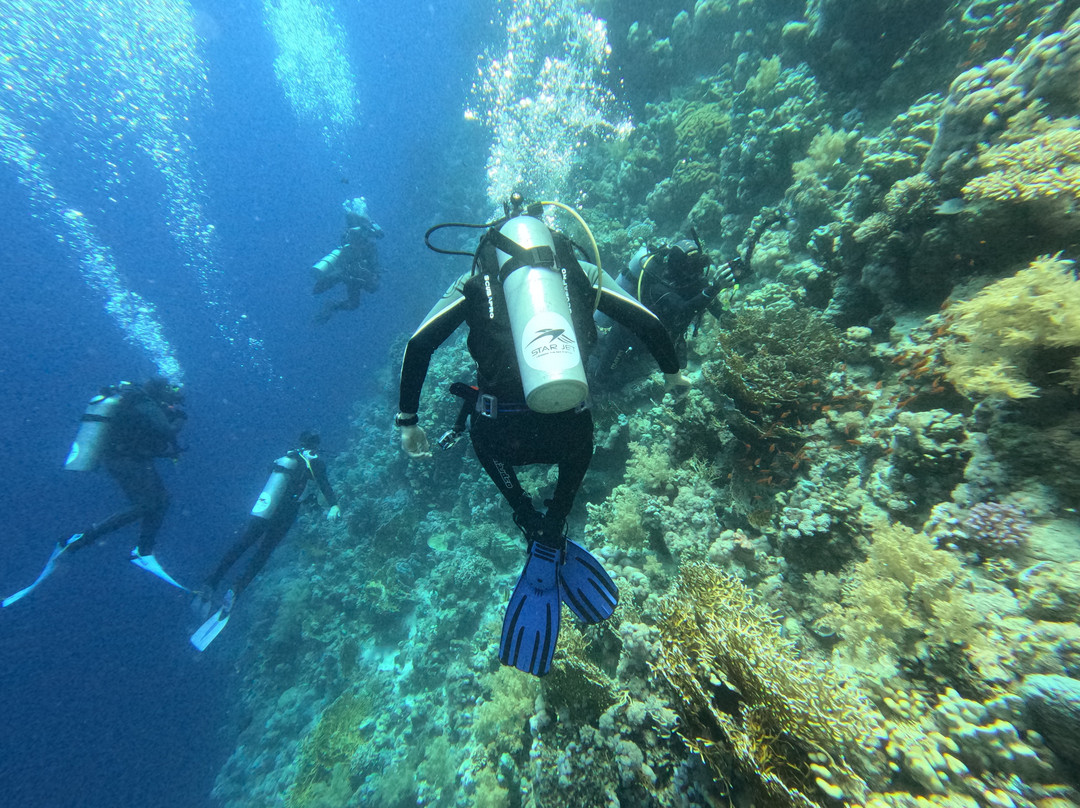 Red sea diving-赫尔格达必去景点