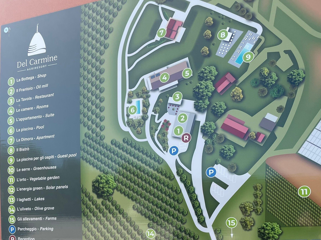 A3Passi Agriturismo tra gli Ulivi 酒店主图