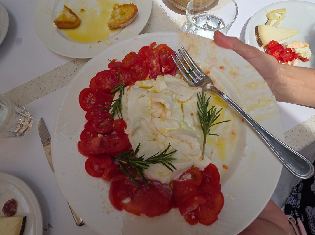 Badia Di Morrona Wine Tour & Tasting-Terricciola必去景点