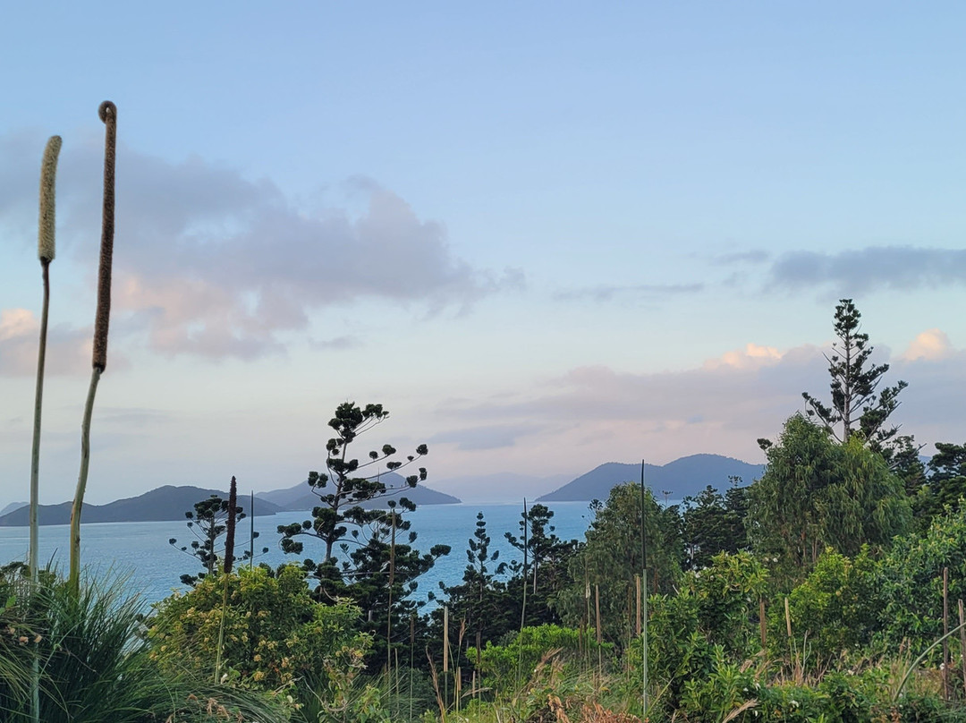 Scamper Island Camping-舒特港必去景点