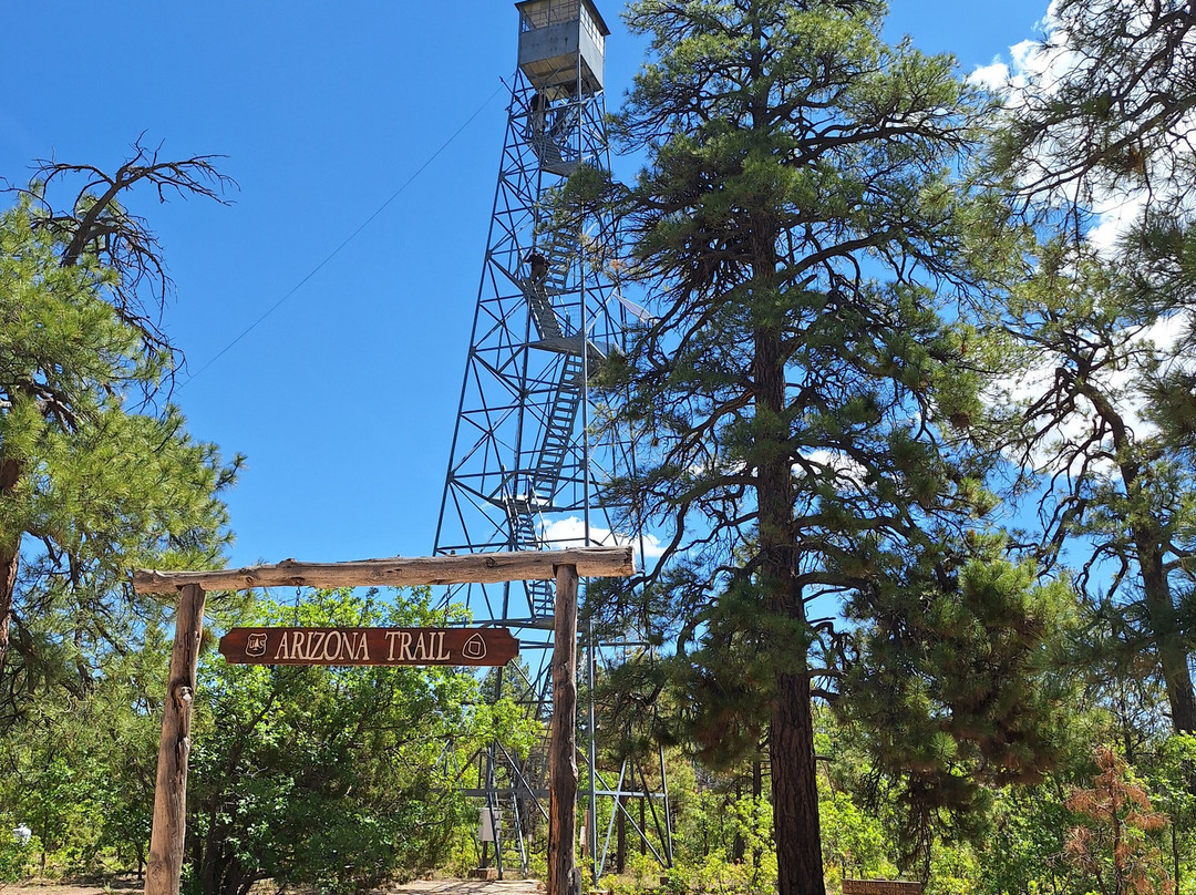 Canyon Off Road Adventures - Guided ATV Tours South Rim-图萨扬必去景点