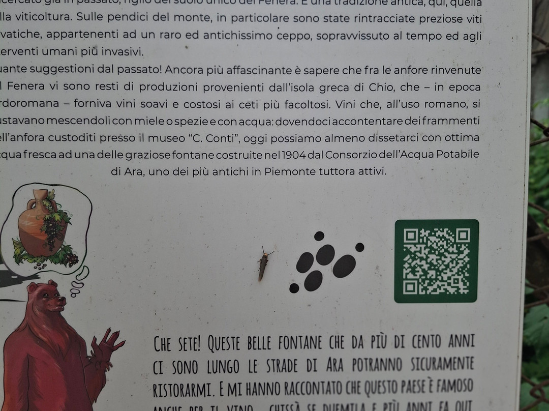 Casa delle Grotte di Ara-Grignasco必去景点