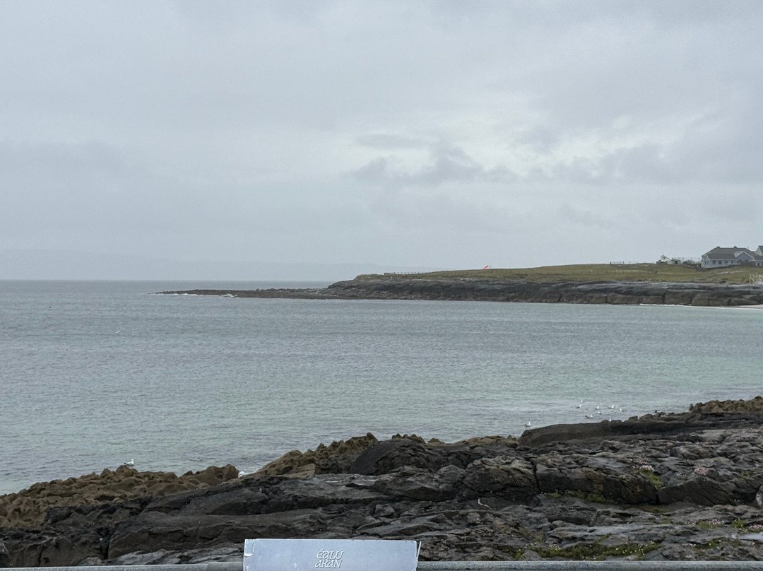 Doolin Ferry Co.-杜林必去景点