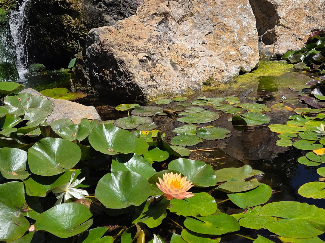 巴尔马水族馆-马洛卡帕尔马必去景点