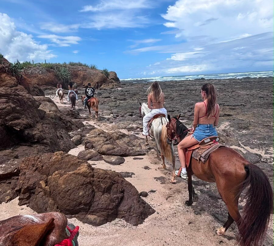 Guti Tours-Playa Avellanas必去景点