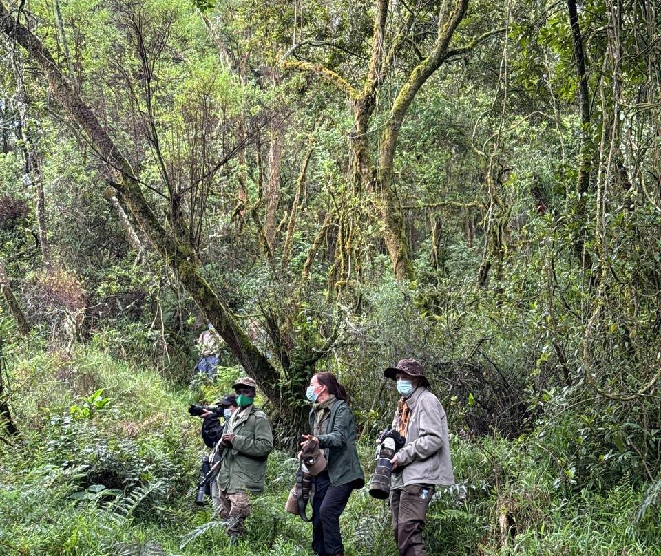 Mgahinga Gorilla National Park-Kisoro必去景点