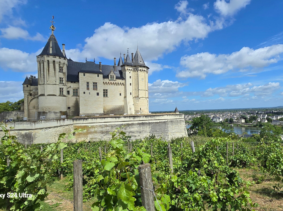 Château-musée De Saumur-梭缪尔必去景点