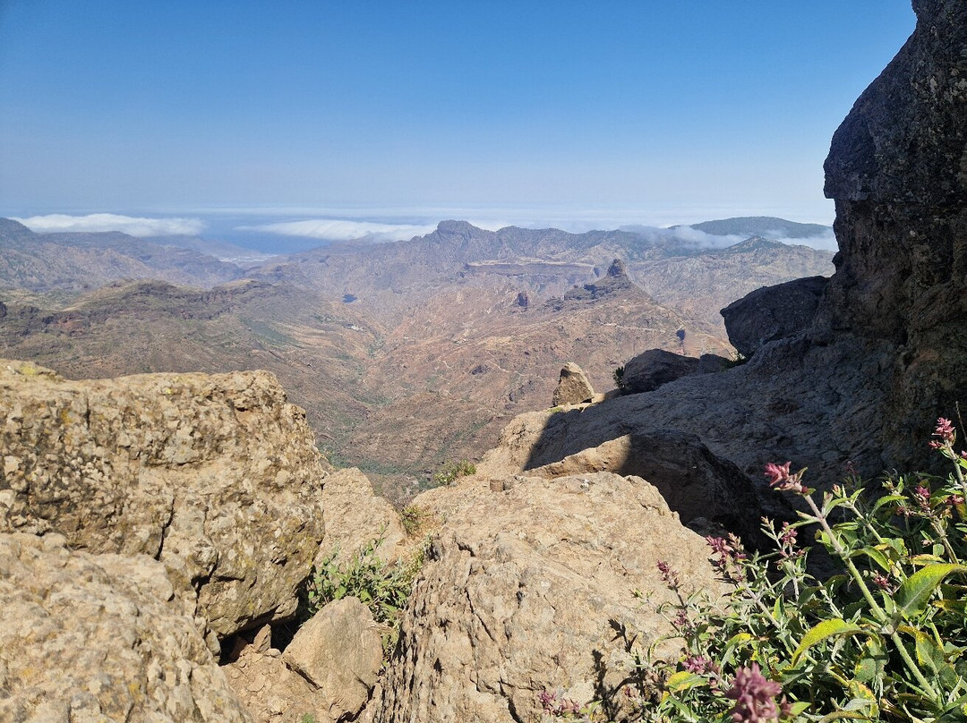 Wandering Pier Gran Canaria-Agaete必去景点