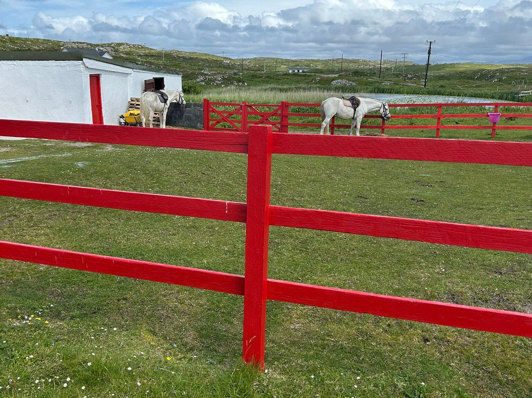 The Point Equestrian Centre and Pony Trekking-Ballyconneely必去景点