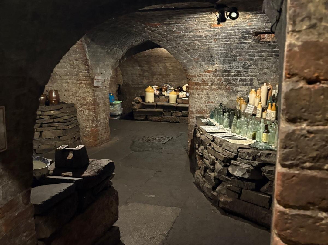 Williamson’s Tunnels – Friends of Williamson’s Tunnels-利物浦必去景点