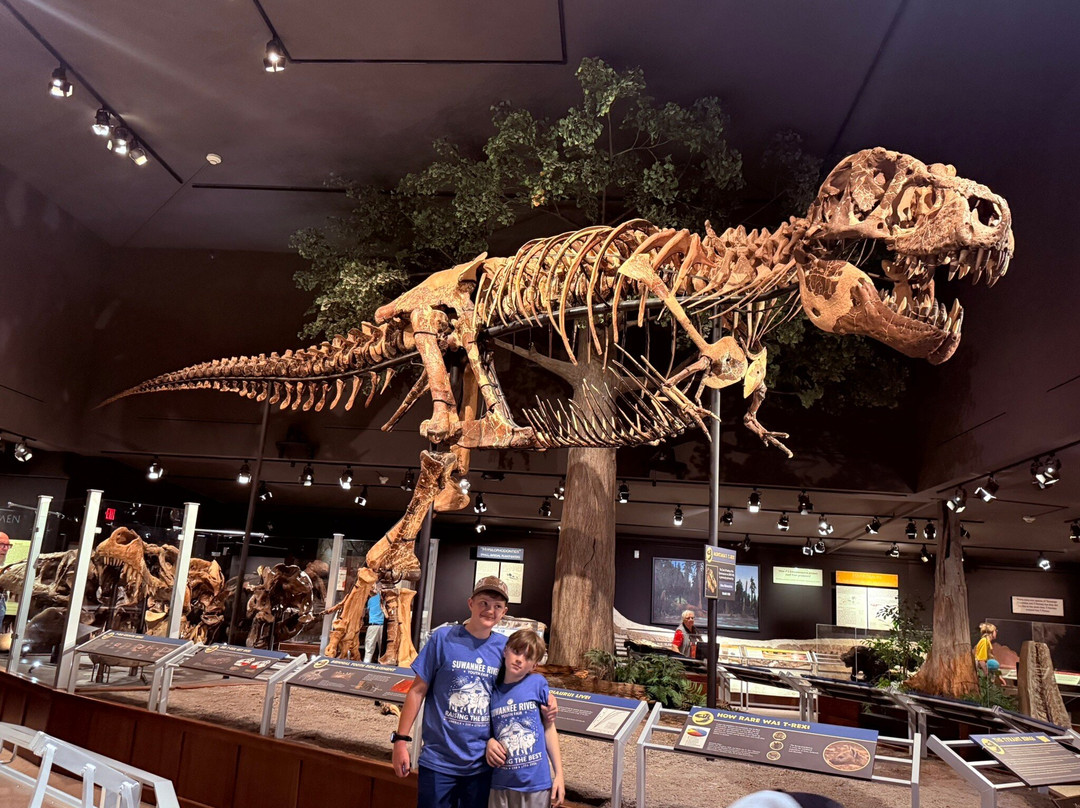 Museum of the Rockies-博兹曼必去景点