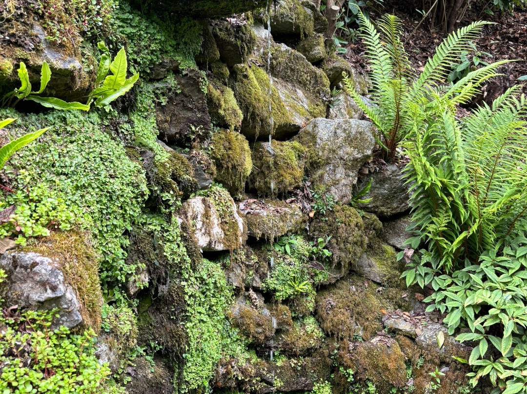 Plas Cadnant Hidden Gardens-Menai Bridge必去景点