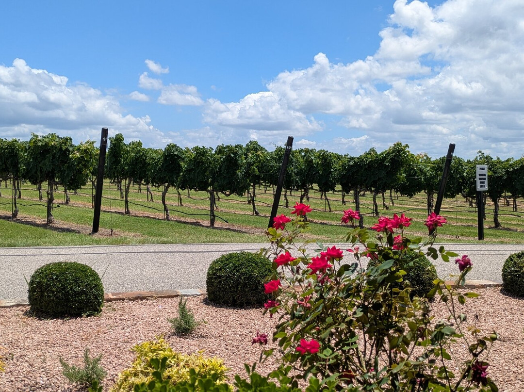 Heath Sparkling Wines Tasting Room-弗雷德里克斯堡必去景点