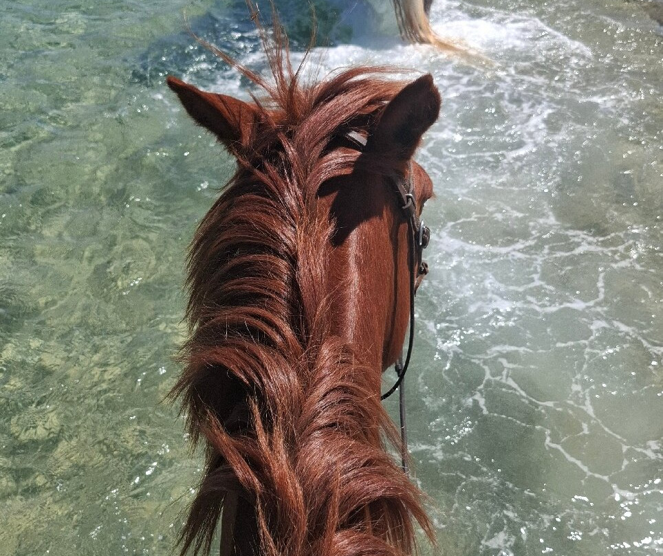 Wild Thyme Ranch-Kranidi必去景点