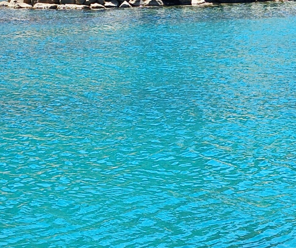 Giglio Island-Isola del Giglio必去景点