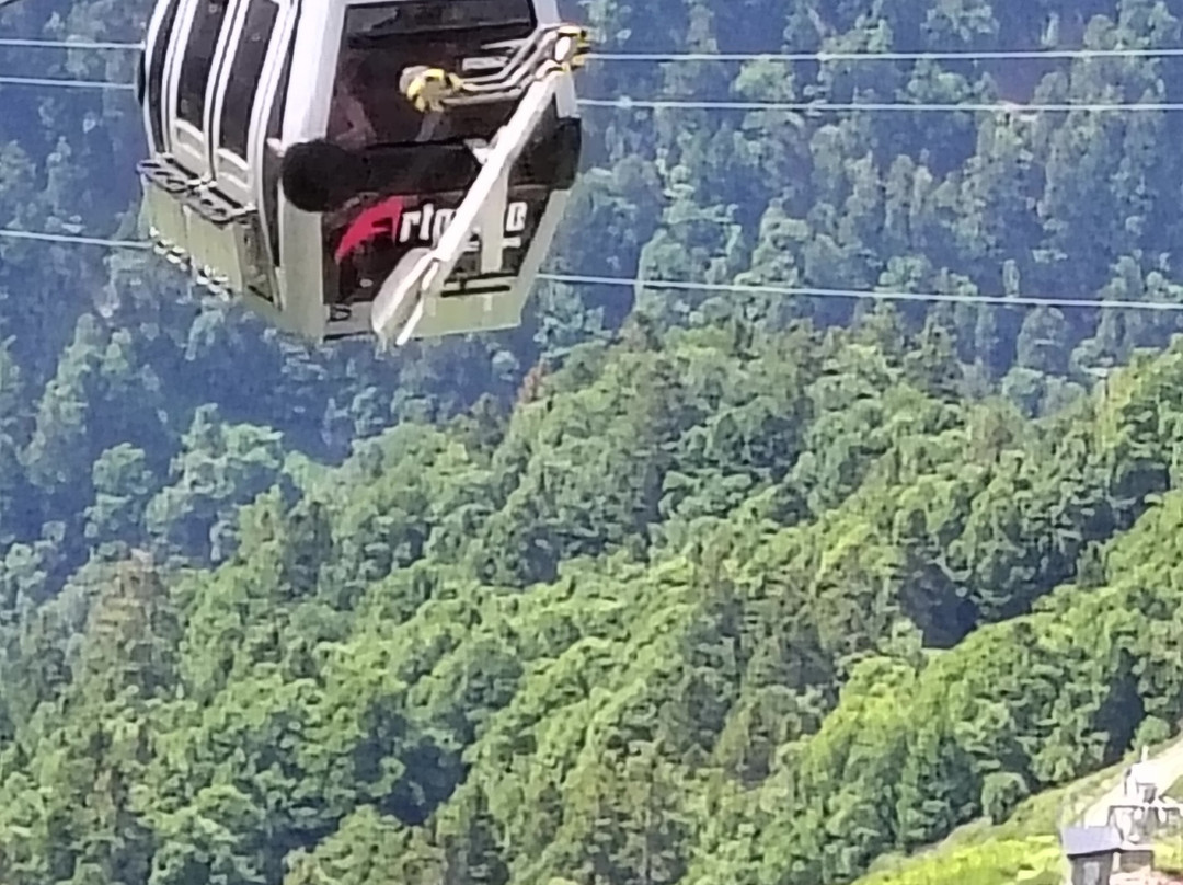 秘密庇里牛斯山旅馆酒店主图