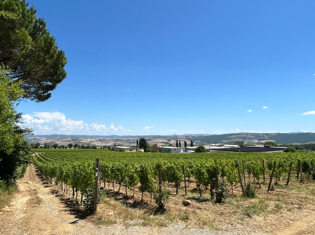 A Day in Tuscany by Serena Baglioni-蒙特普尔恰诺必去景点