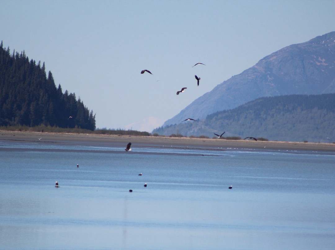 Chugach National Forest-苏厄德必去景点