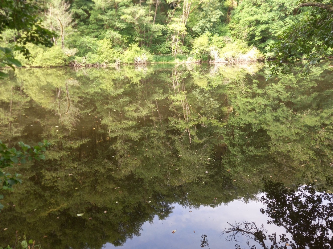 Camping de Beaufort