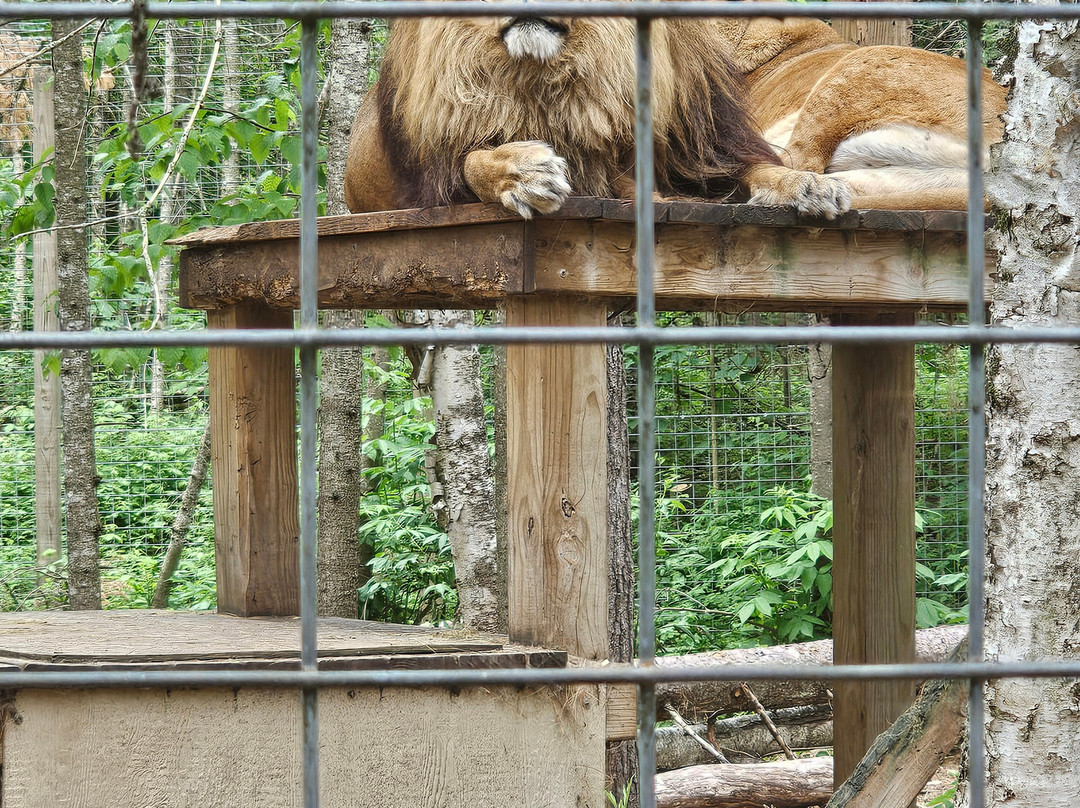 GarLyn Zoo Wildlife Park-Naubinway必去景点