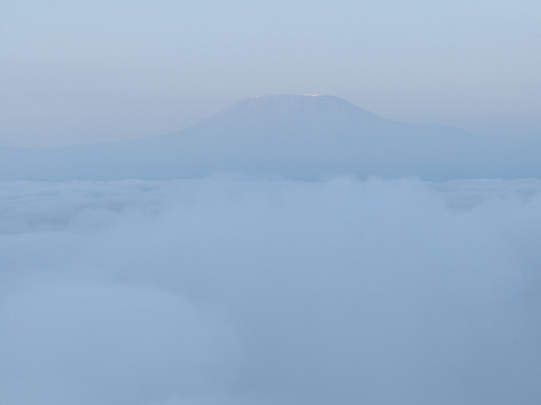 Kilimanjaro Balloon Safaris-安博塞利国家公园必去景点