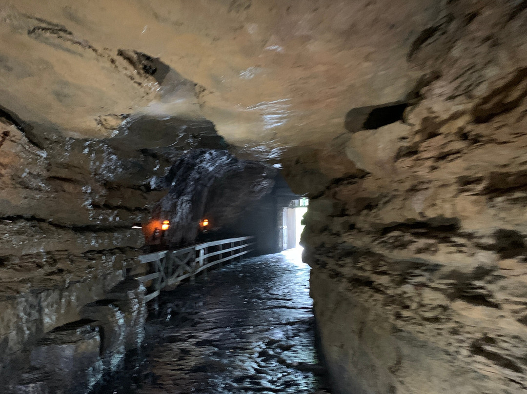 Lost Canyon Cave and Nature Trail-Ridgedale必去景点