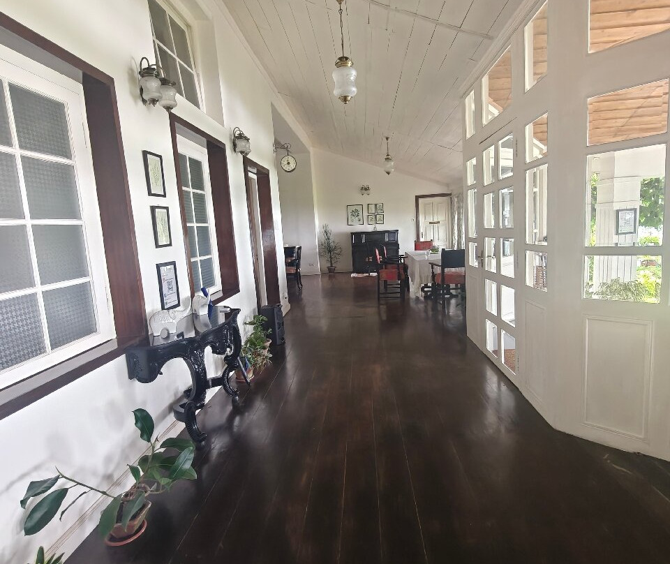 金茶别墅酒店主图