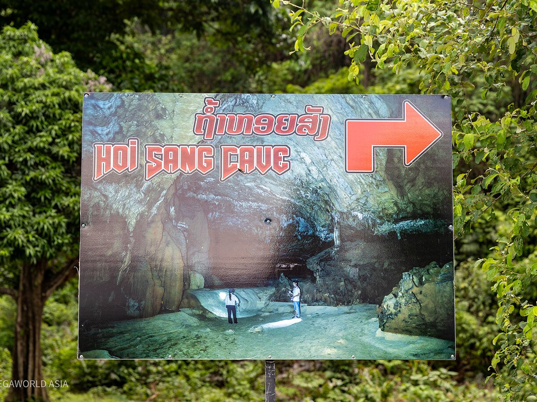 Tham Loup & Tham Hoi Caves-旺阳必去景点