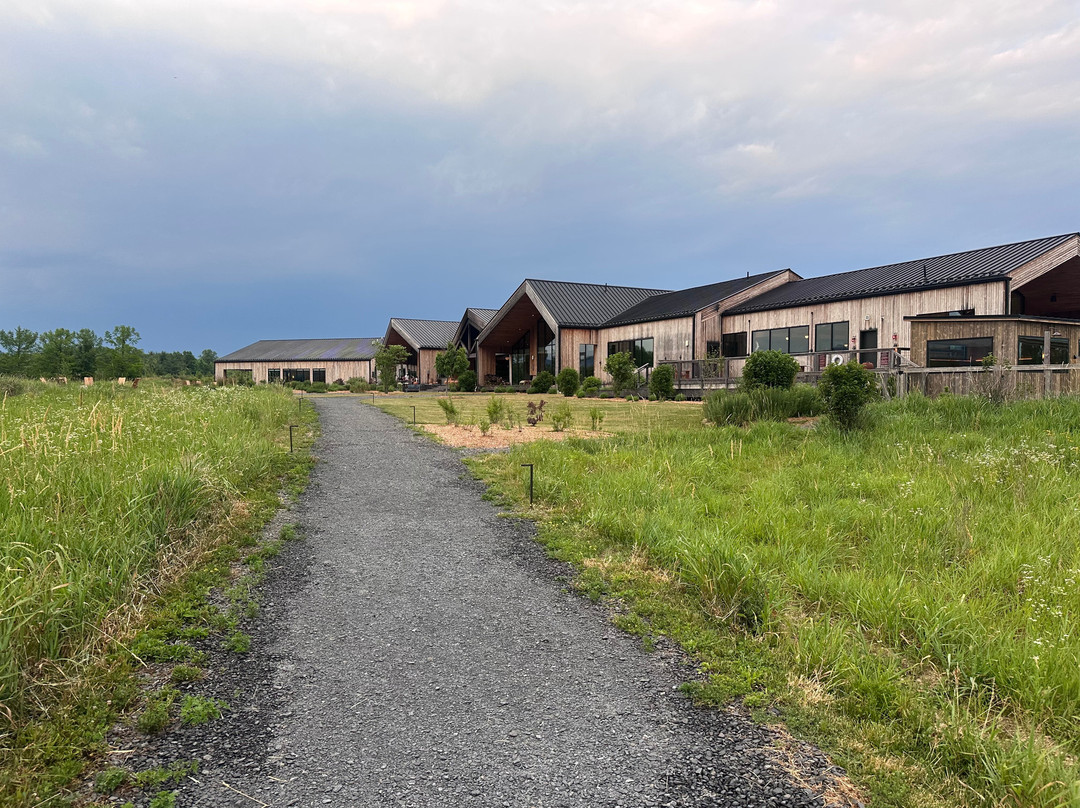 野花农场，Auberge Resorts Collection主图