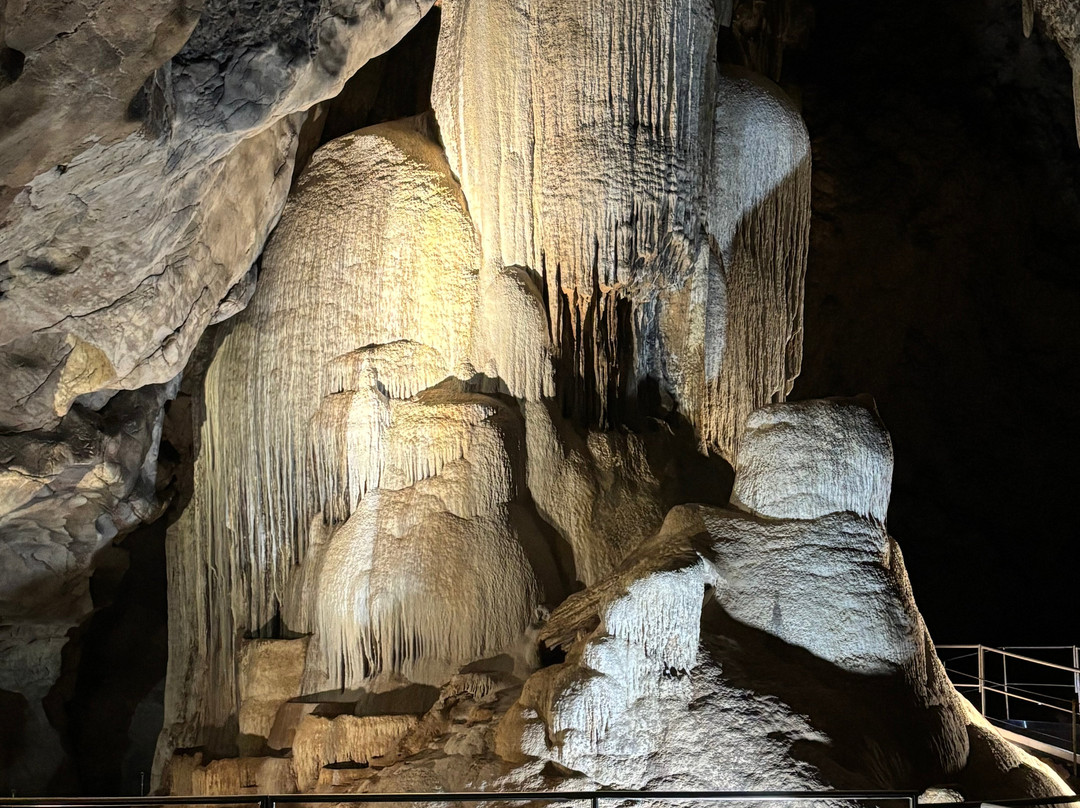 Wellington Caves & Phosphate Mine-Wellington必去景点