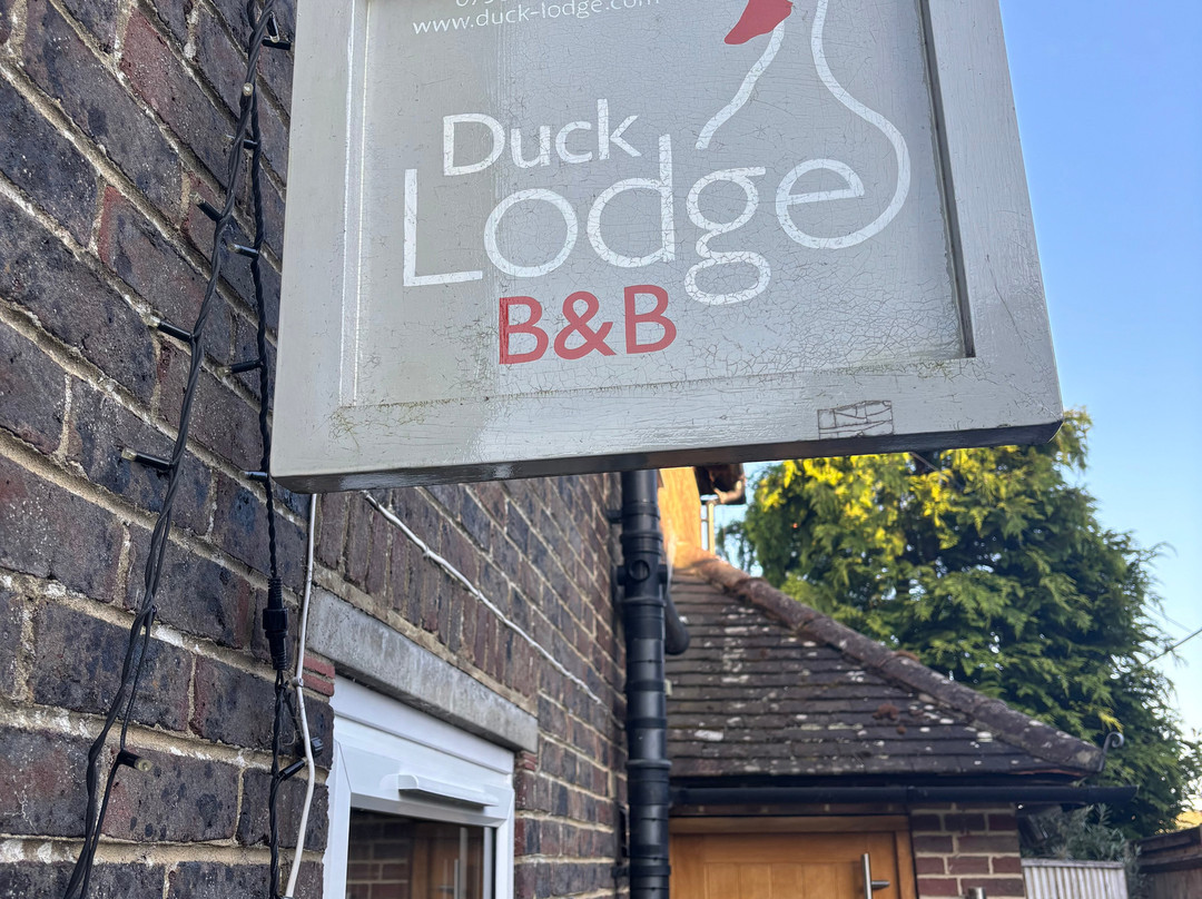 鸭子小屋家庭旅馆主图