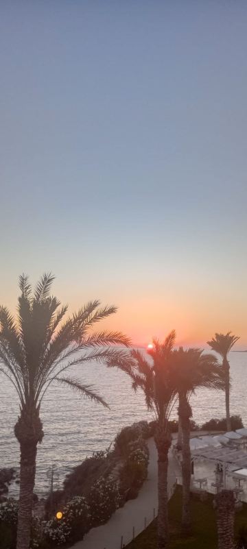 瓦拉齐亚海滩套房酒店-限成人-旅行者