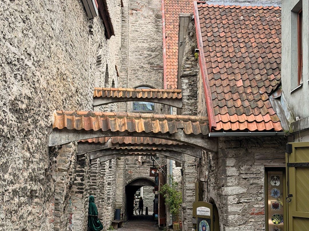 St. Catherine's Passage-塔林必去景点