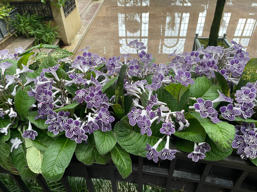 Longwood Gardens-肯尼特斯奎尔必去景点