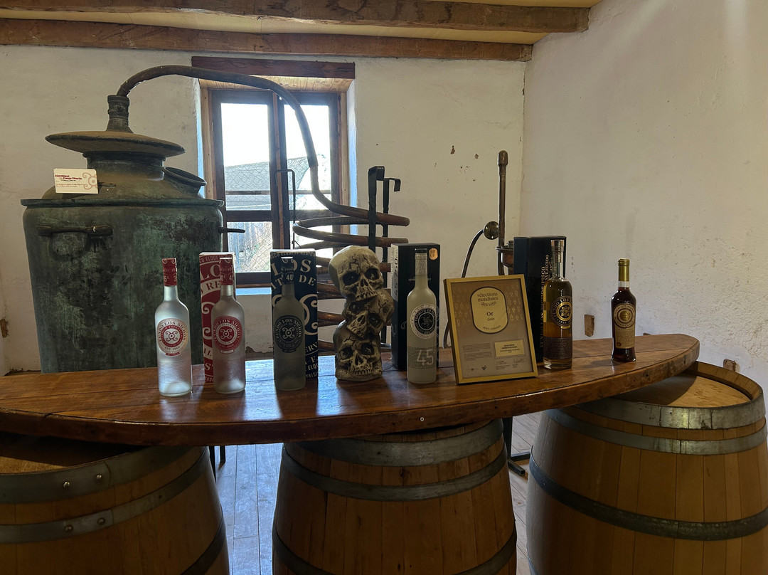 Fundo Los Nichos-Pisco Elqui必去景点