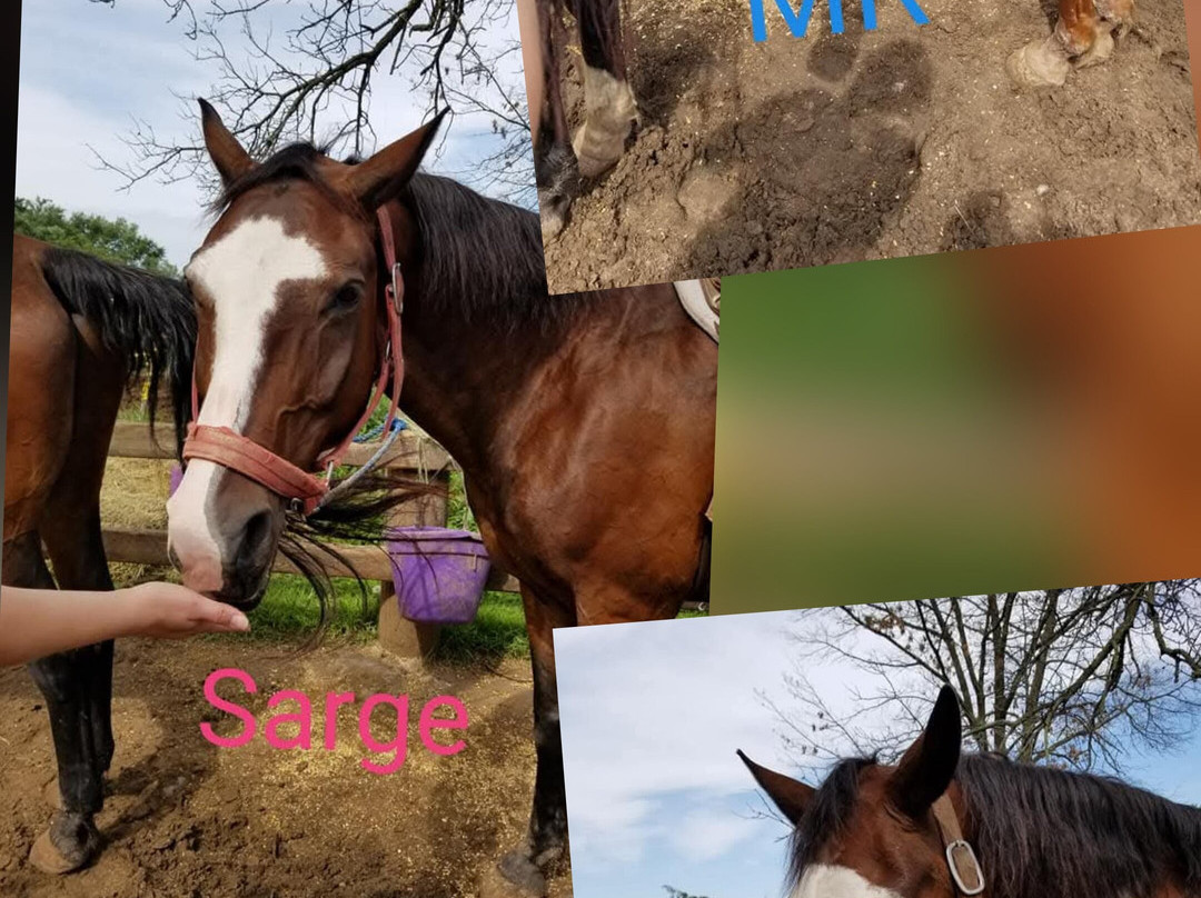 Red Ridge Riding Stable-Mauston必去景点